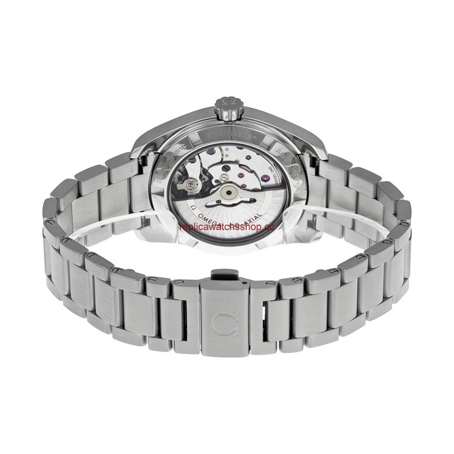 Omega Seamaster Aqua Terra 231.10.39.21.03.001 img2