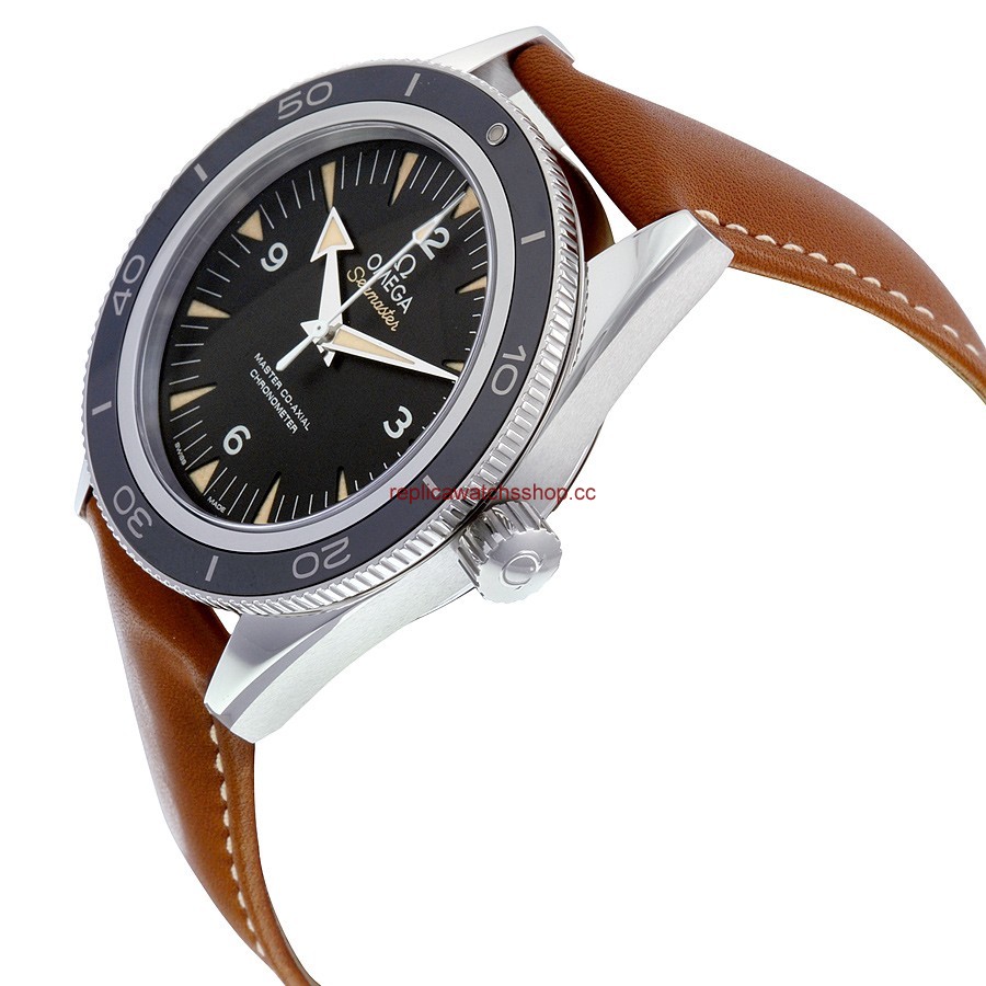 Omega Seamaster 233.32.41.21.01.002 img1