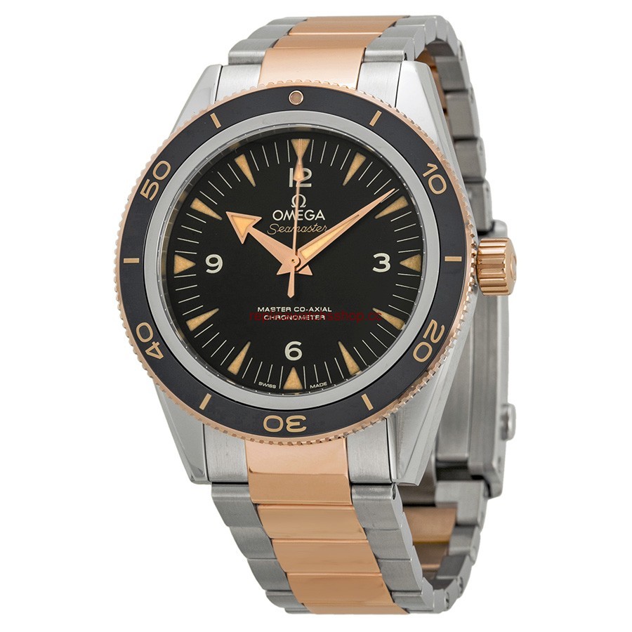 Omega Seamaster 233.20.41.21.01.001