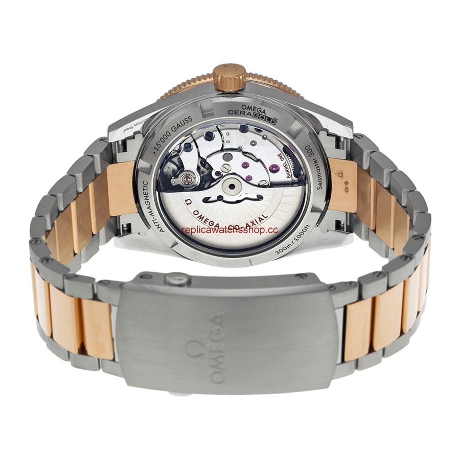 Omega Seamaster 233.20.41.21.01.001 img2