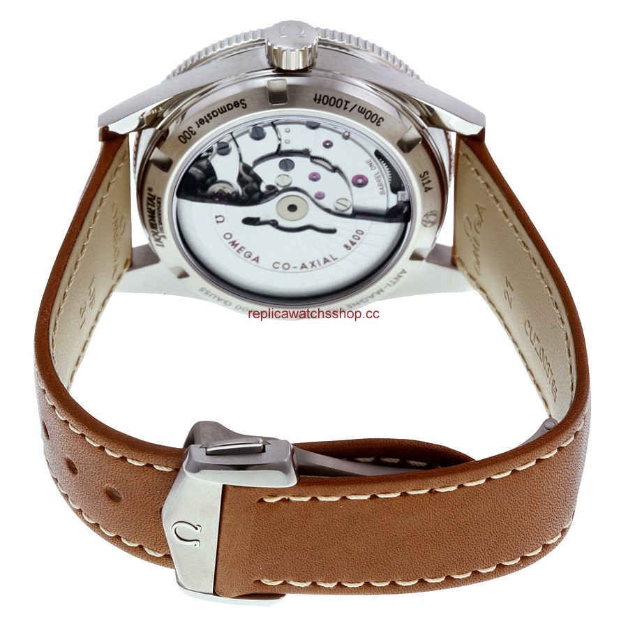Omega Seamaster 233.92.41.21.03.001 img2 Omega Seamaster 233.92.41.21.03.001 img2