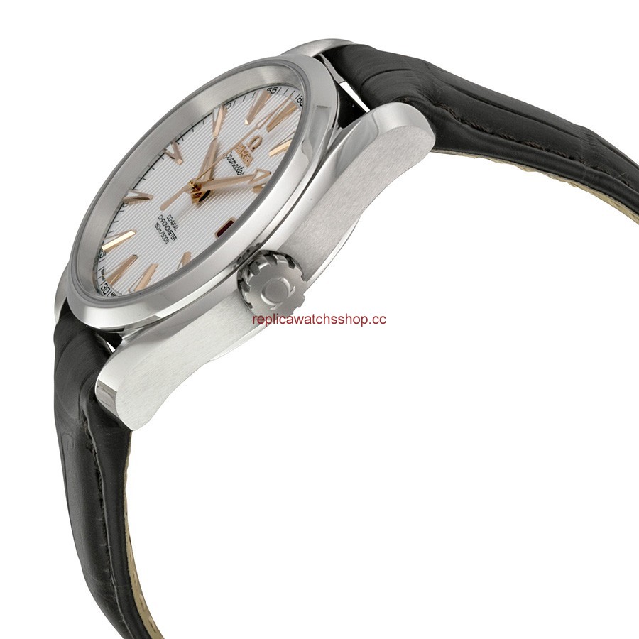 Omega Seamaster Aqua Terra 231.13.39.21.02.002 img1