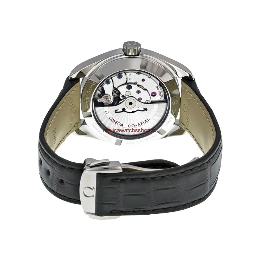 Omega Seamaster Aqua Terra 231.13.39.21.02.002 img2 Omega Seamaster Aqua Terra 231.13.39.21.02.002 img2