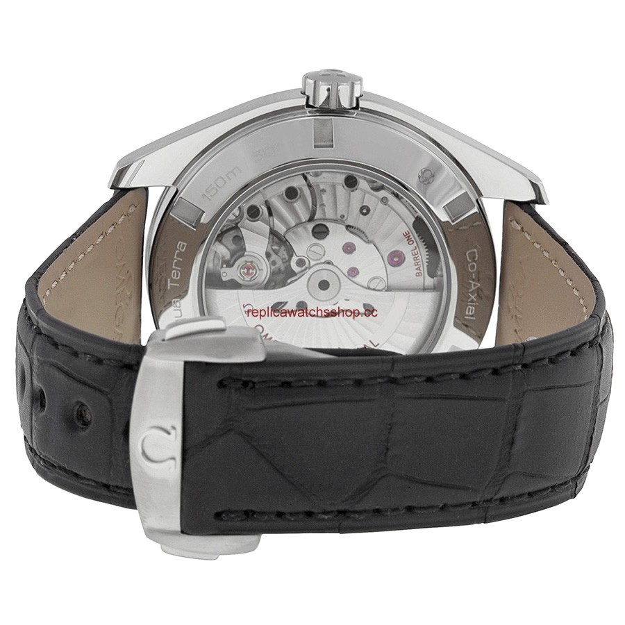Omega Seamaster Aqua Terra 23113432201001 img2 Omega Seamaster Aqua Terra 23113432201001 img2