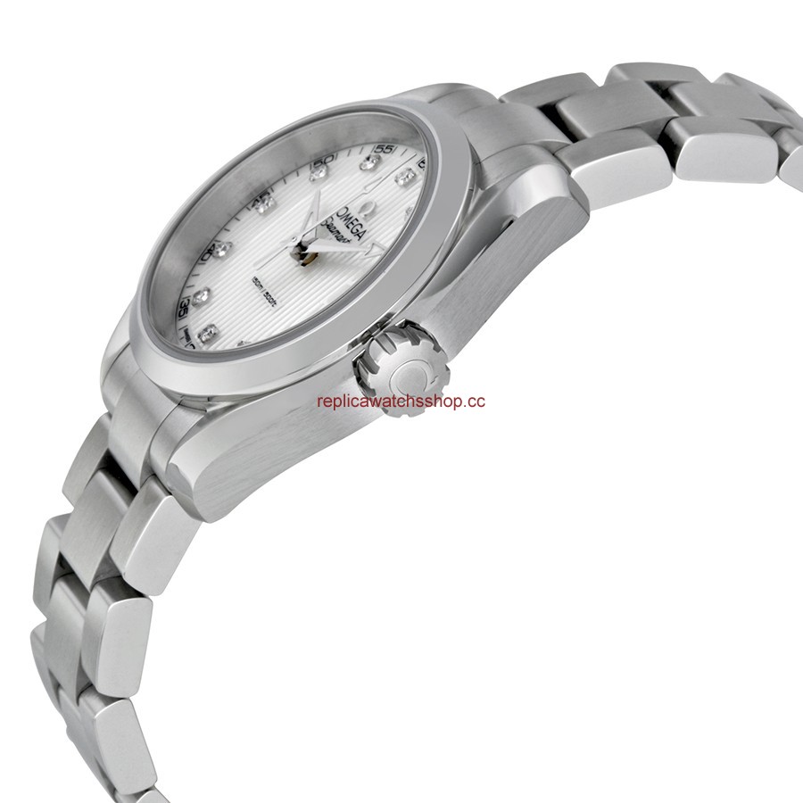 Omega Seamaster Aqua Terra 231.10.30.60.55.001 img1