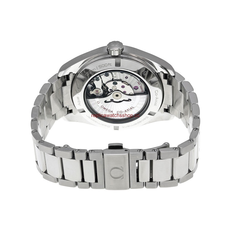 Omega Seamaster Aqua Terra 231.10.43.22.01.001 img2