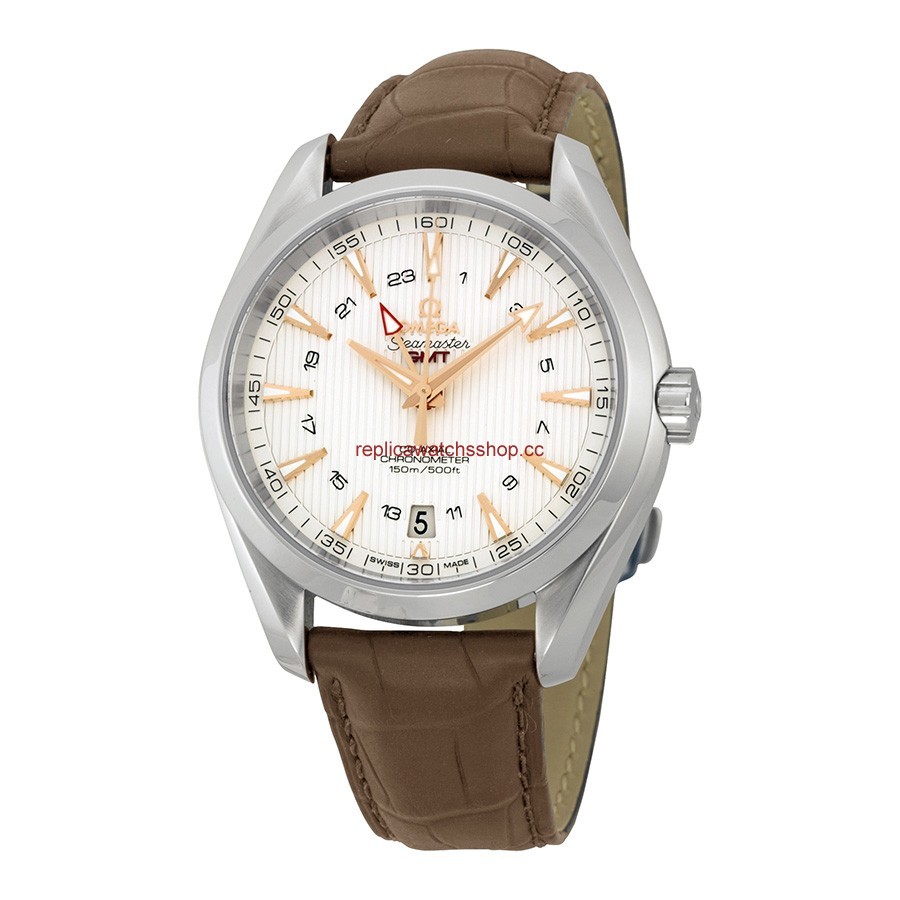 Omega Seamaster Aqua Terra 231.13.43.22.02.004 Omega Seamaster Aqua Terra 231.13.43.22.02.004