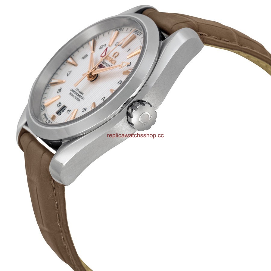 Omega Seamaster Aqua Terra 231.13.43.22.02.004 img1