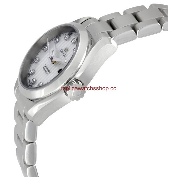 Omega Seamaster Aqua Terra 231.10.30.61.55.001 img1
