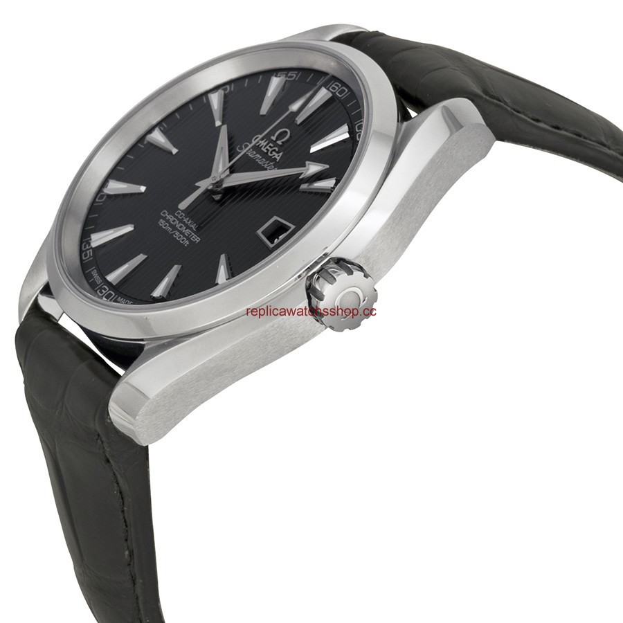 Omega Seamaster Aqua Terra 231.13.42.21.06.001 img1