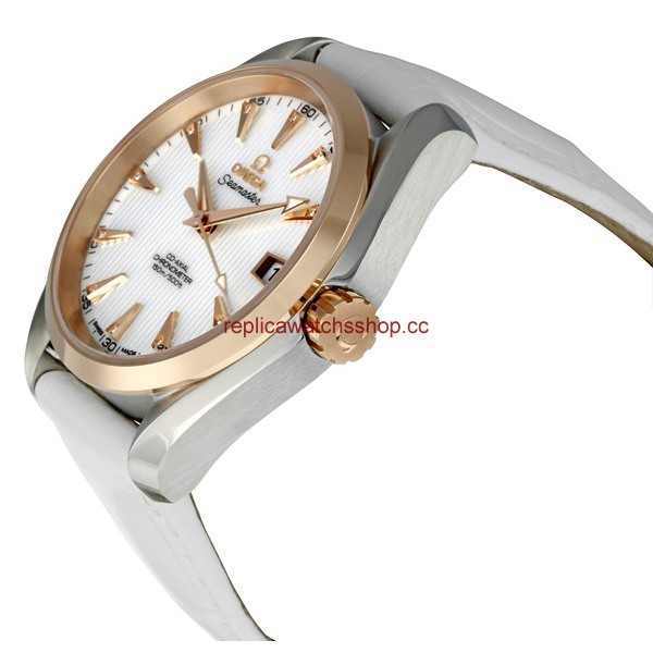 Omega Seamaster Aqua Terra 231.23.39.21.55.001 img1
