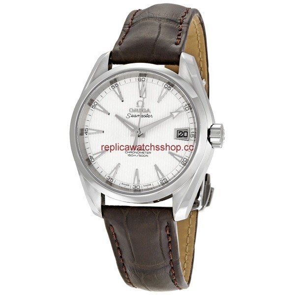 Omega Seamaster Aqua Terra 231.13.39.21.02.001 Omega Seamaster Aqua Terra 231.13.39.21.02.001