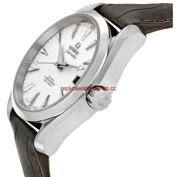 Omega Seamaster Aqua Terra 231.13.39.21.02.001 img1