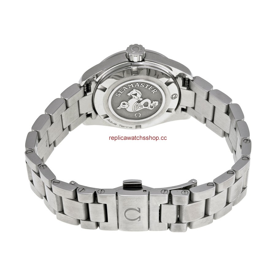 Omega Seamaster Aqua Terra 231.15.30.61.55.001 img2