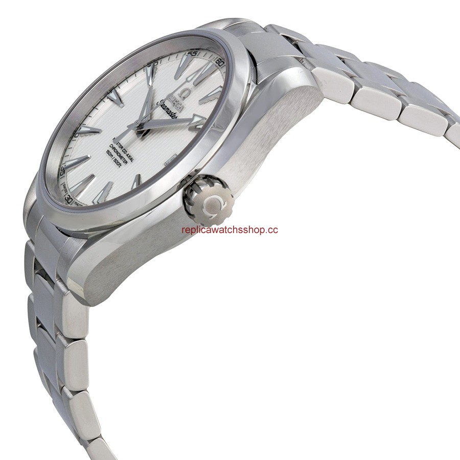 Omega Seamaster Aqua Terra 231.10.39.21.02.002 img1