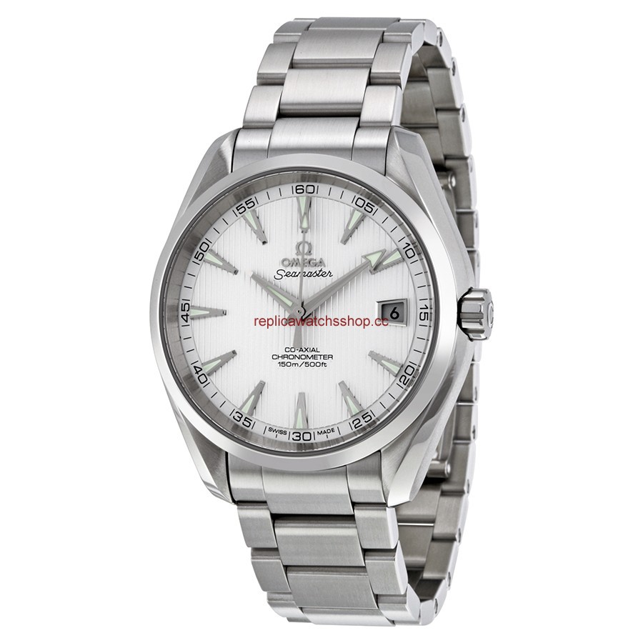 Omega Seamaster Aqua Terra 231.10.42.21.02.001