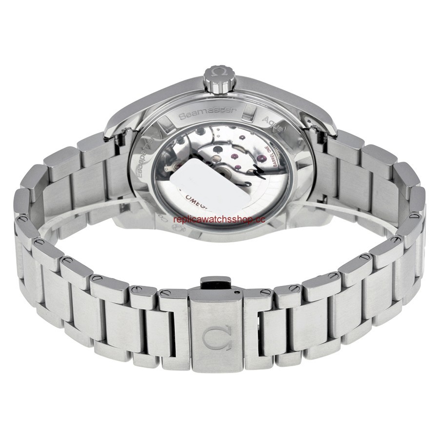 Omega Seamaster Aqua Terra 231.10.42.21.02.001 img2