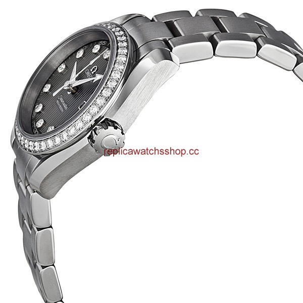 Omega Seamaster Aqua Terra 023115306156001 img1