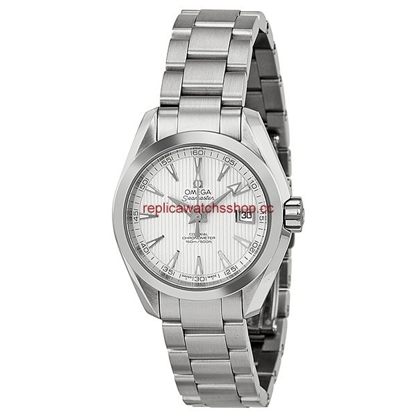 Omega Seamaster Aqua Terra 231.10.30.20.02.001