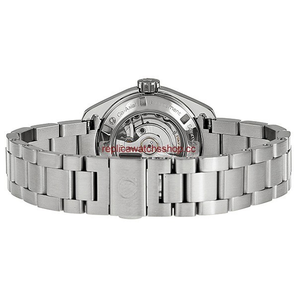 Omega Seamaster Aqua Terra 231.10.30.20.02.001 img2
