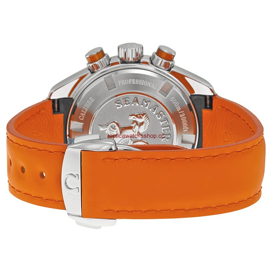 Omega Seamaster 22232385001003 img2