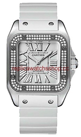 Cartier Santos de Cartier WM50460M