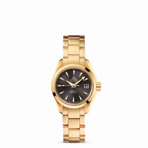 Omega Seamaster Aqua Terra 150M Co-Axial 30mm Yellow Gold (231.50.30.20.06.002)