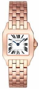 Cartier Santos de Cartier W25073X9 Watch