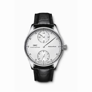 IWC Portugieser Regulateur Platinum (IW5444-03) Watch