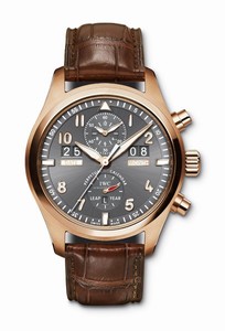 IWC Pilot's Watches IW379105