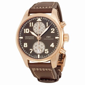 IWC Pilot's Watches IW387805