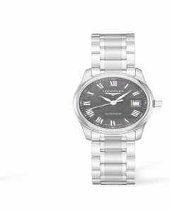Longines Master Collection Date 29 Stainless Steel (L2.257.4.51.6)