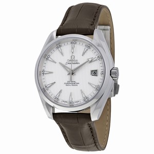 Omega Seamaster Aqua Terra 231.13.42.21.02.001