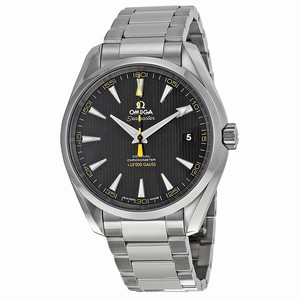 Omega Seamaster Aqua Terra 231.10.42.21.01.002