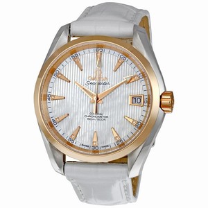 Omega Seamaster Aqua Terra 231.23.39.21.55.001 Watch